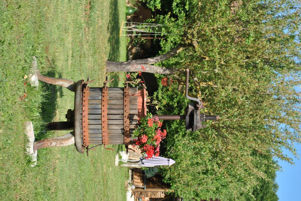 B&B A Casa Di Piero San Massimo  Exteriér fotografie