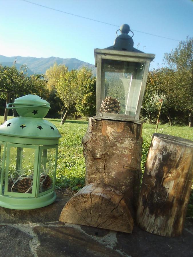 B&B A Casa Di Piero San Massimo  Exteriér fotografie